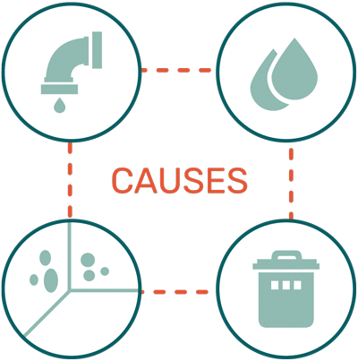 common causes of kitchen mold