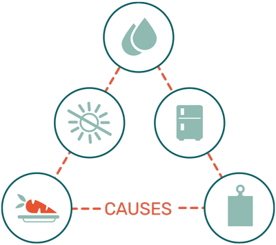 common causes of mold in kitchen