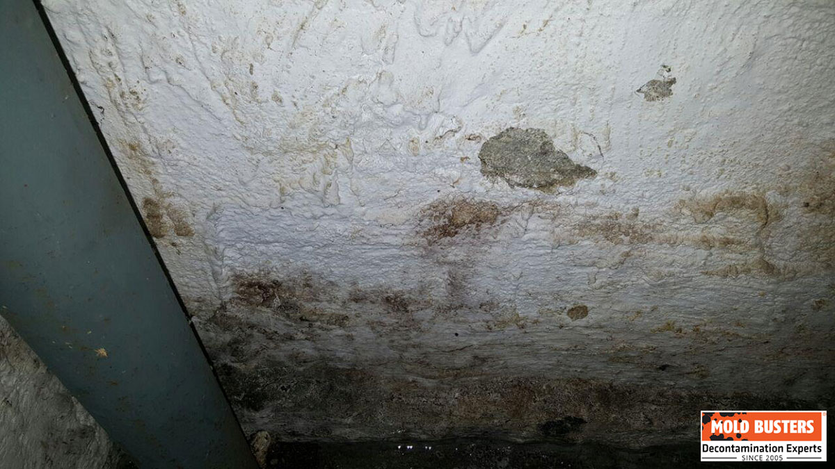 Mold Concrete