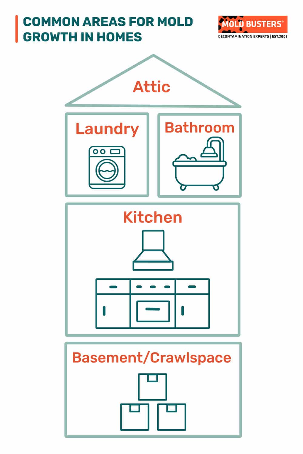 common areas for mold growth in homes