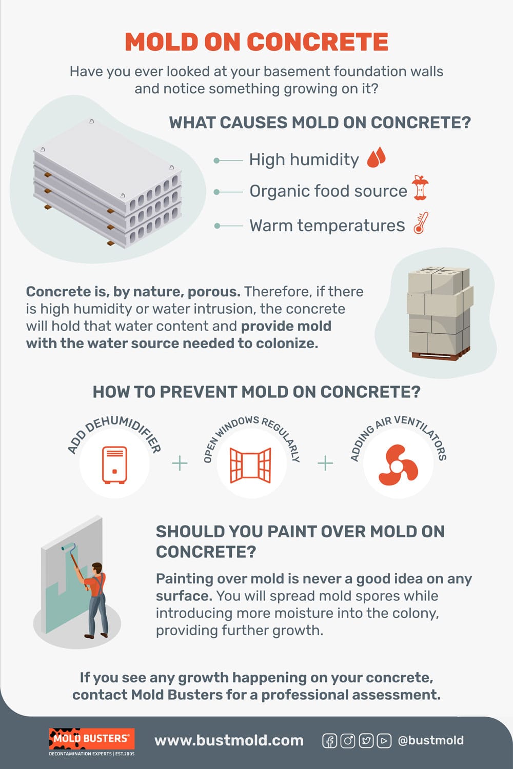 mold on concrete infographic