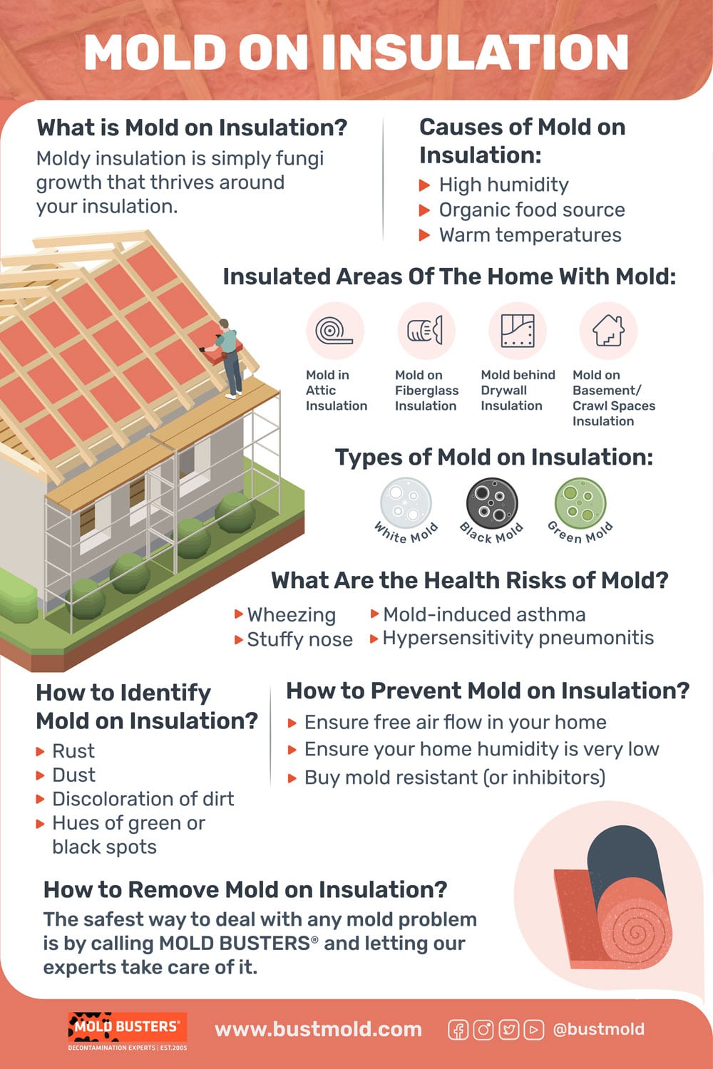 mold on insulation guide
