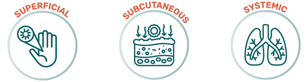 pathogenic reactions to mold