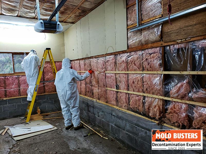 removal of mold on insulation