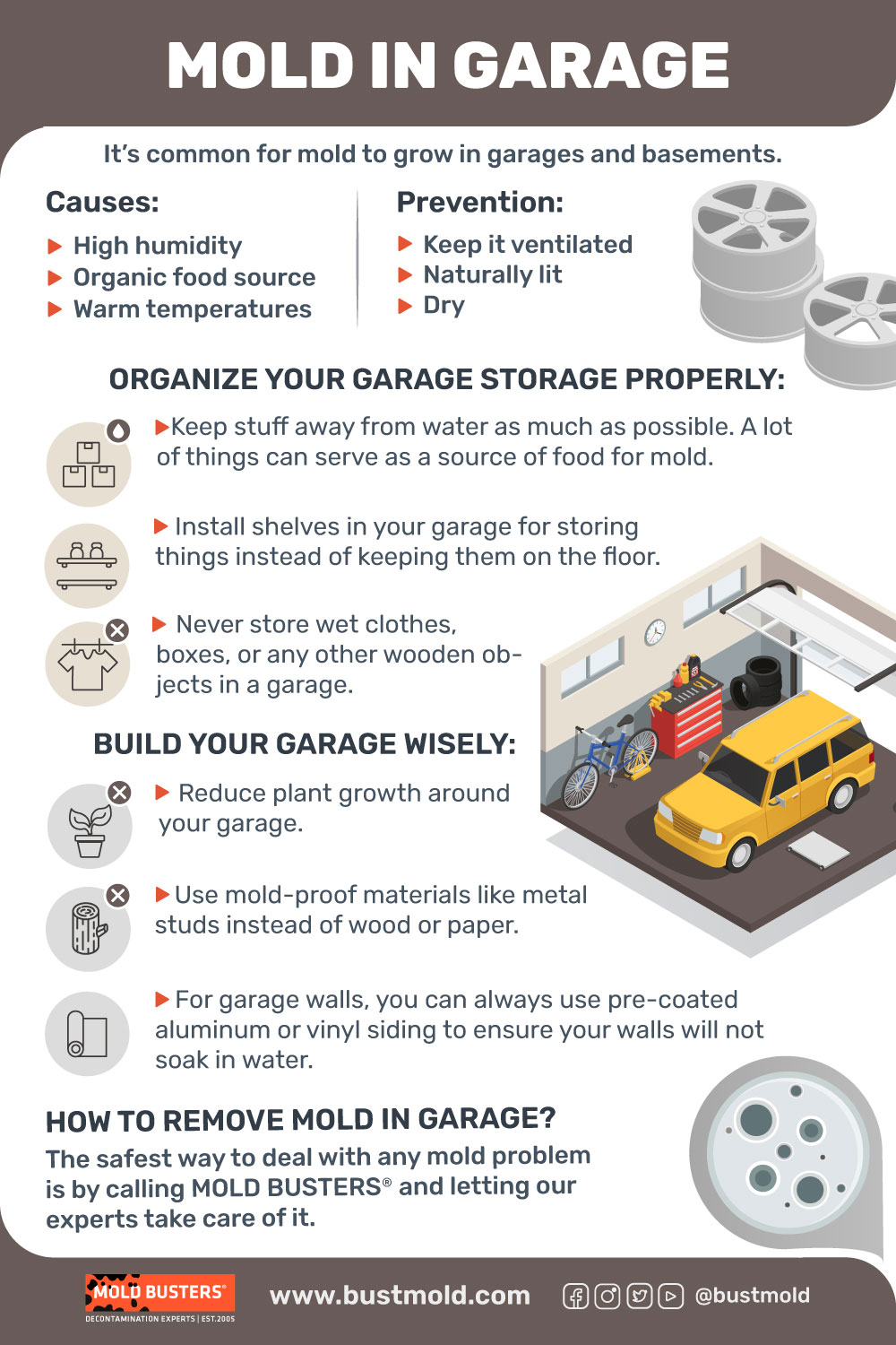 mold in garage