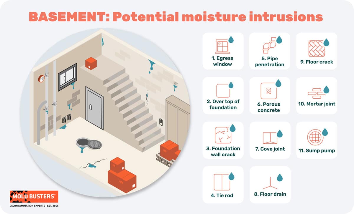 basement potential moisture intrusions