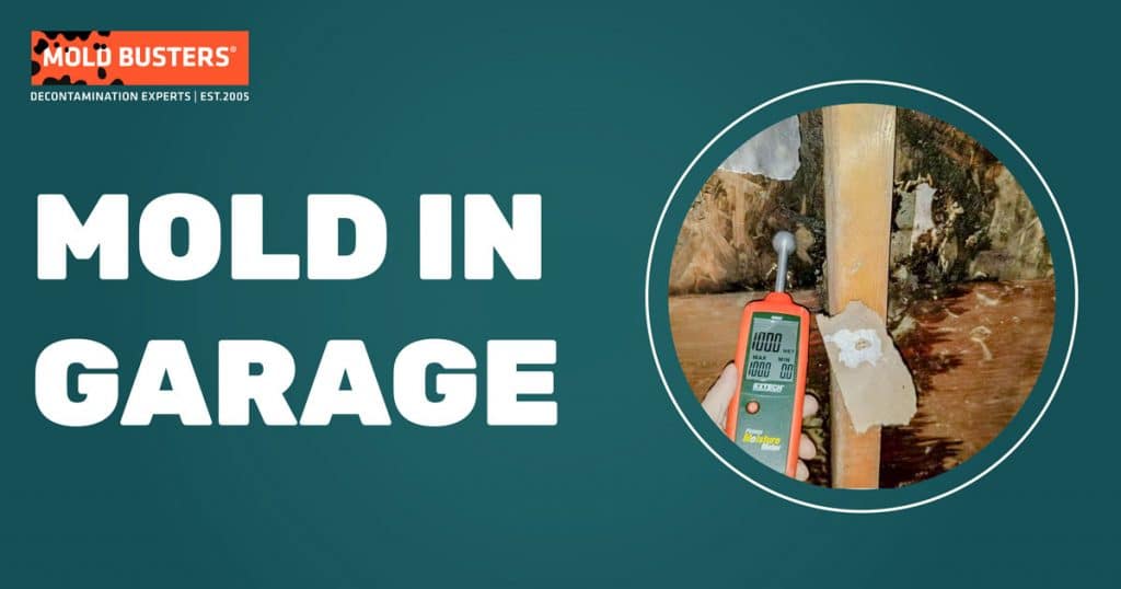 Mold in Garage How to Prevent and How to Get Rid MoldBusters