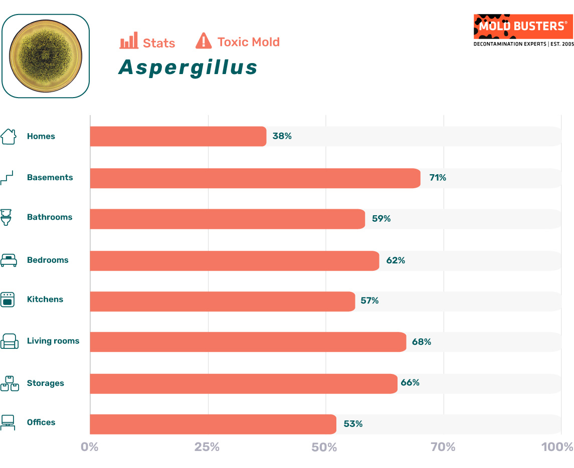Aspergillus statistics