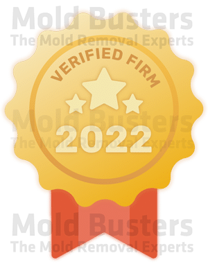 Verified Firm Badge