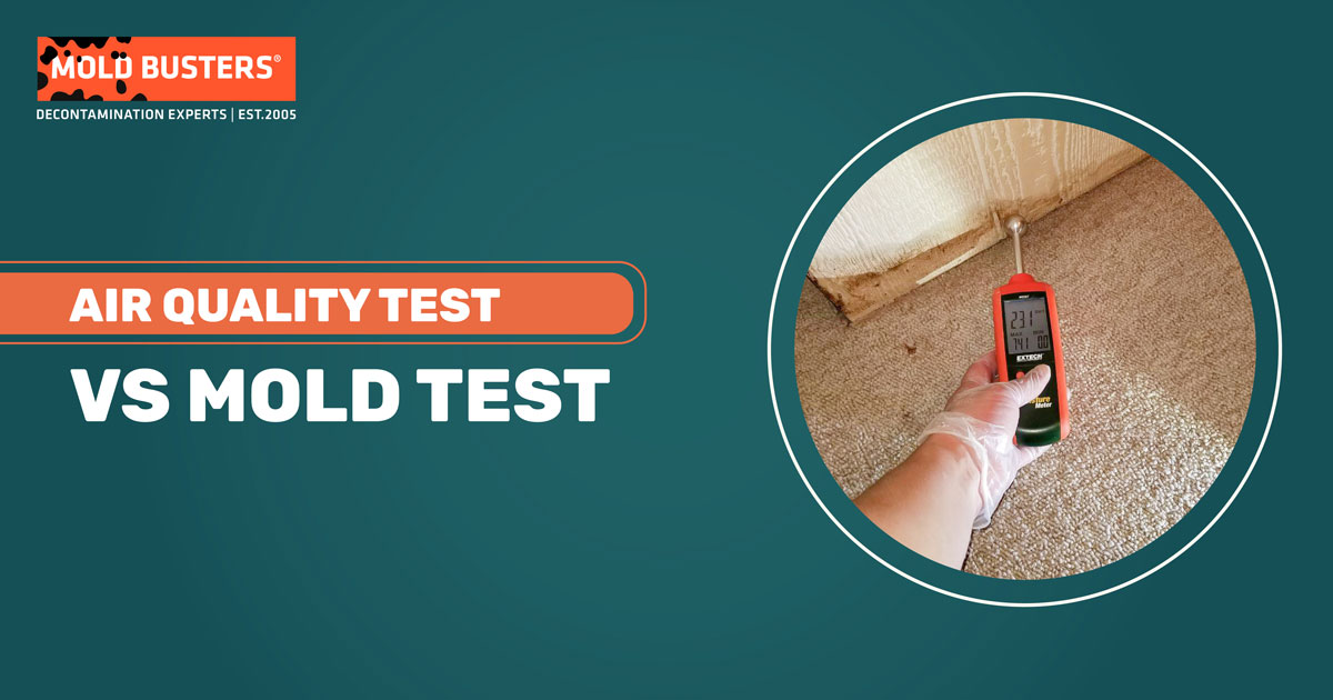 Air Quality Test vs Mold Test