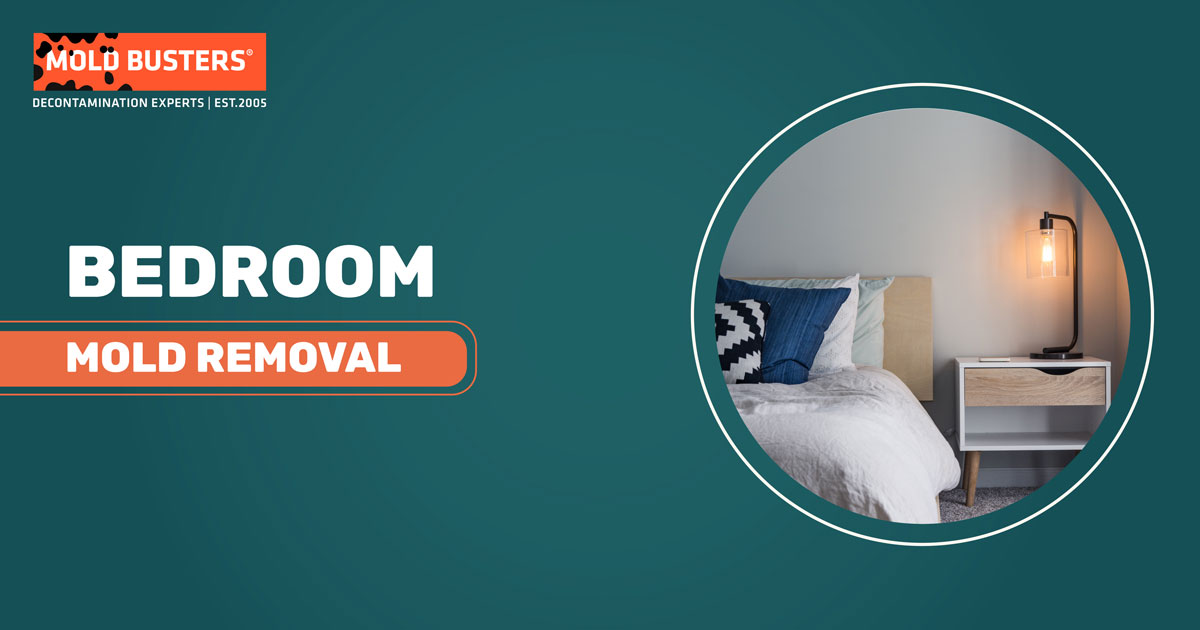 bedroom mold removal service
