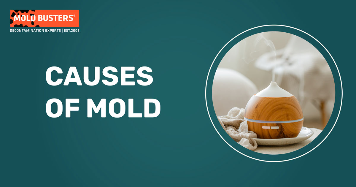 causes of mold