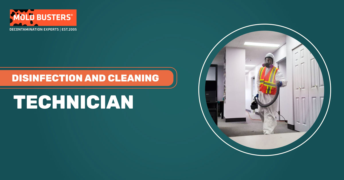 disinfection and cleaning technician