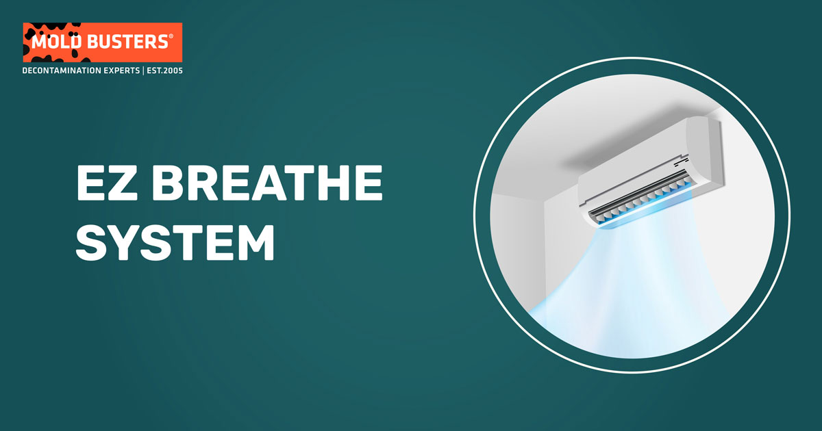 EZ Breathe System and Service Mold Busters