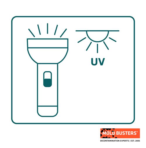linternas de alta potencia y luces UV