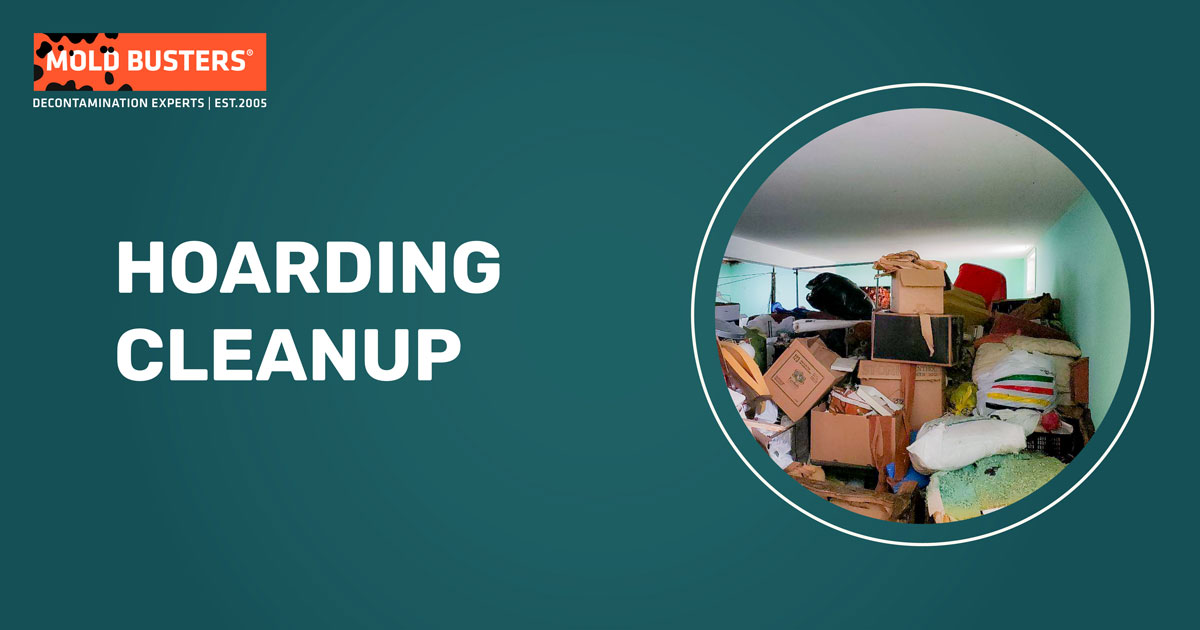 hoarding cleanup service