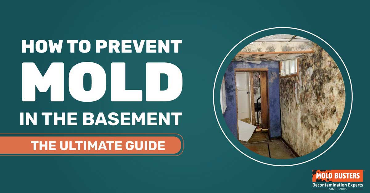 how to prevent mold in basement