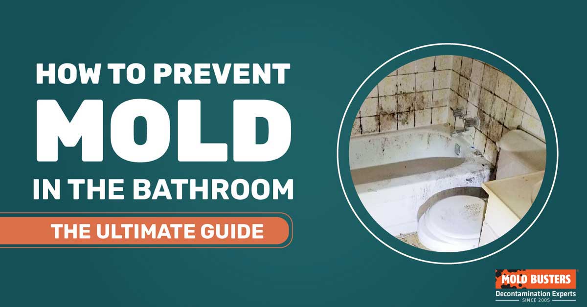 how to prevent mold in bathroom