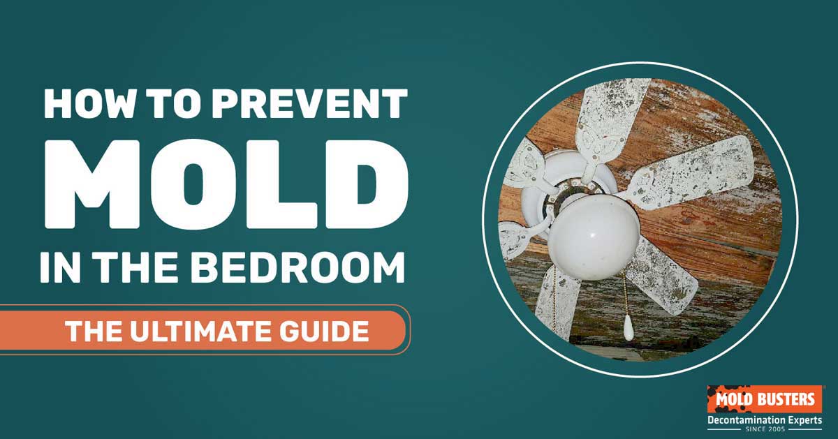 how to prevent mold in bedroom