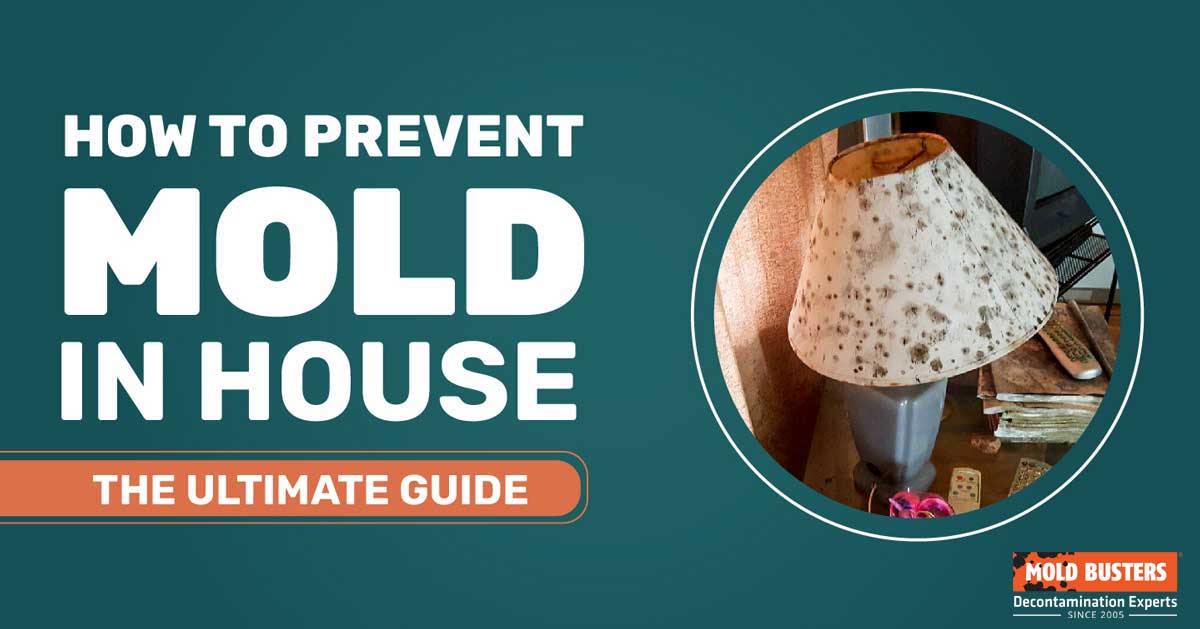 how to prevent mold in house