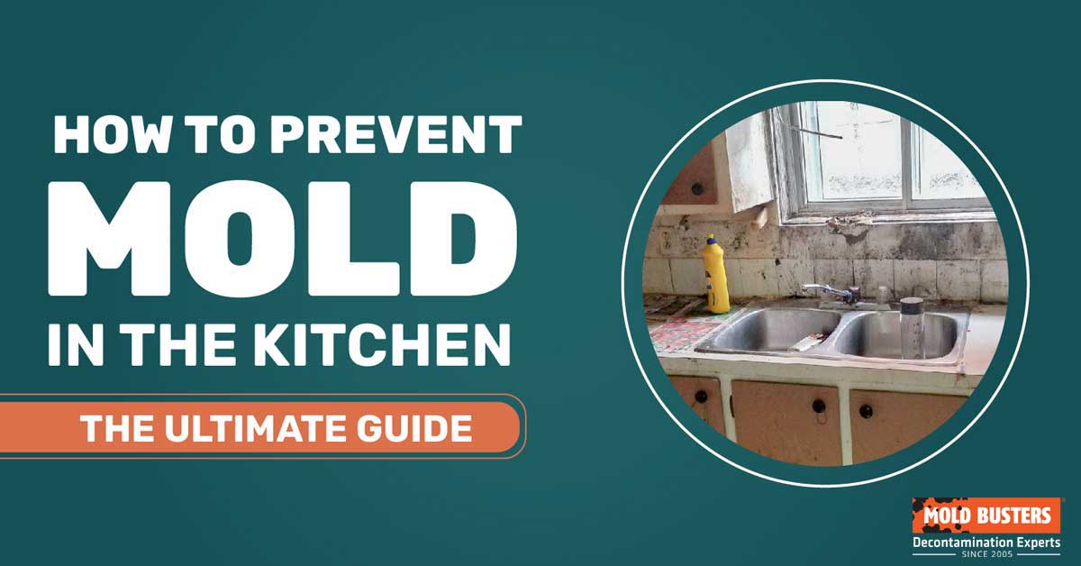 how to prevent mold in kitchen