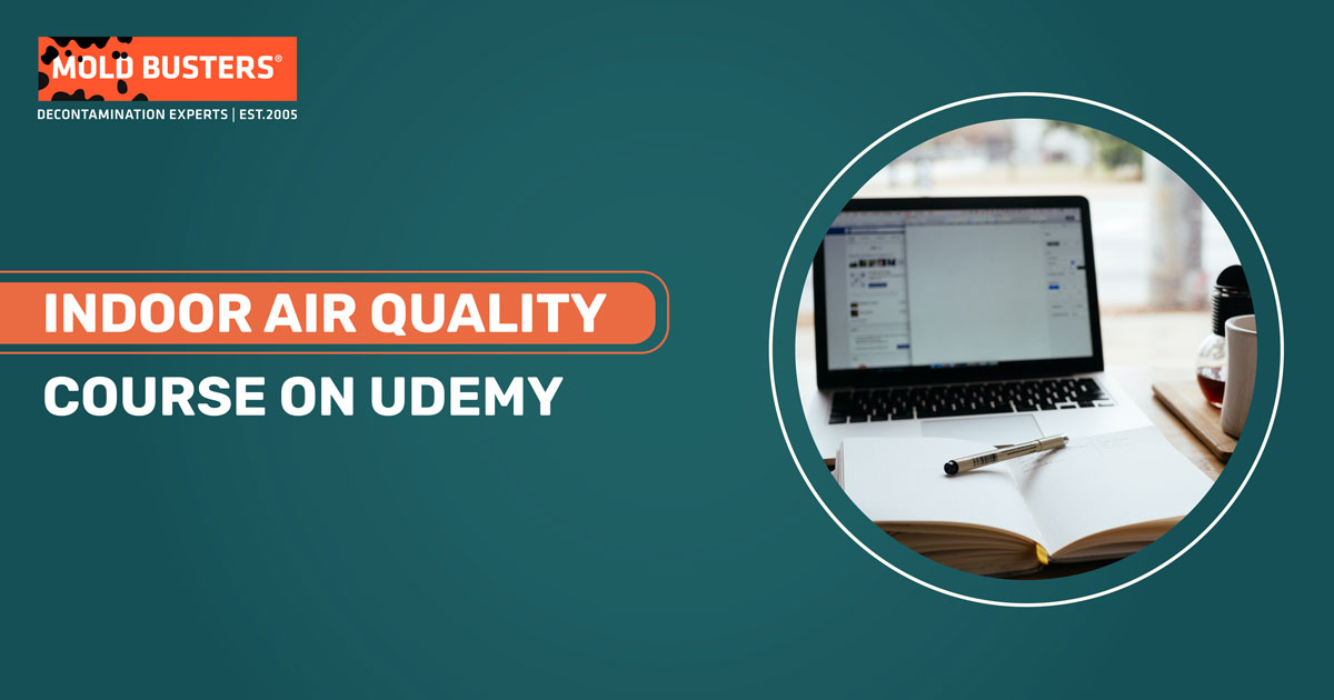 Indoor Air Quality on Udemy Online Courses by Mold Busters