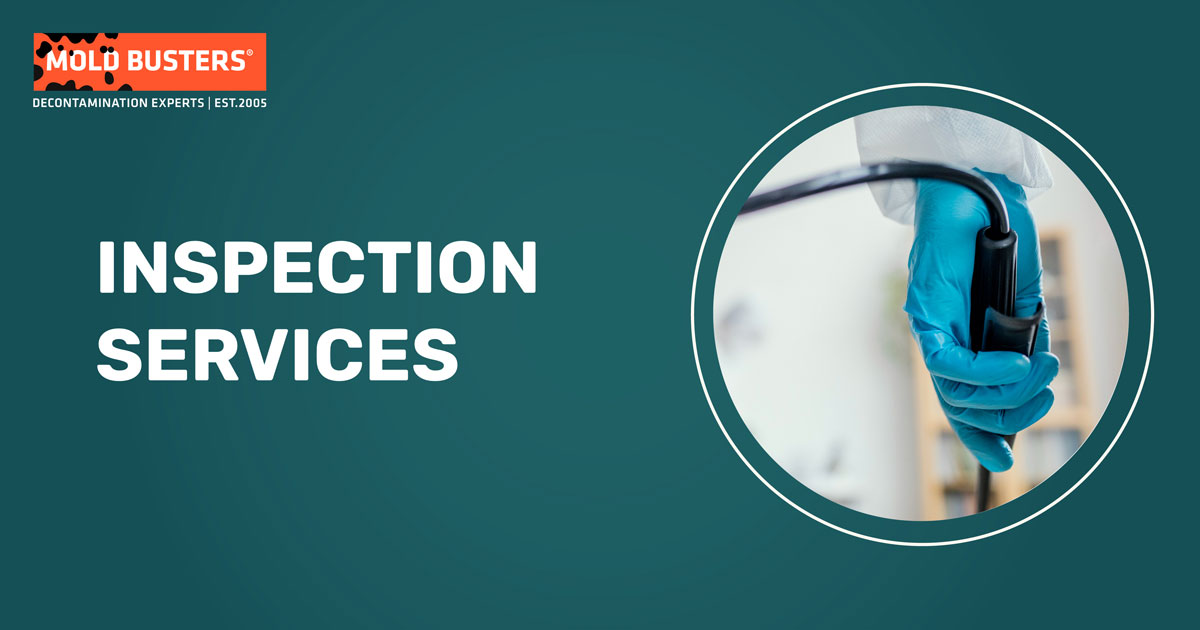 Inspection Services in Ottawa & Montreal