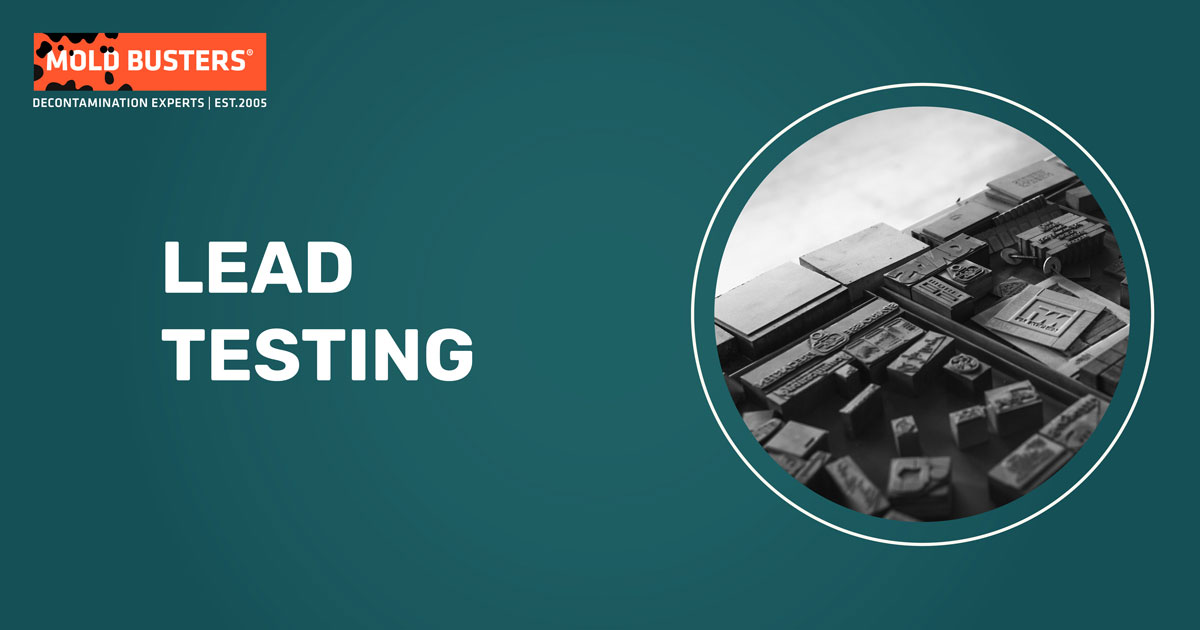 Professional Lead Testing Services Ottawa & Montreal