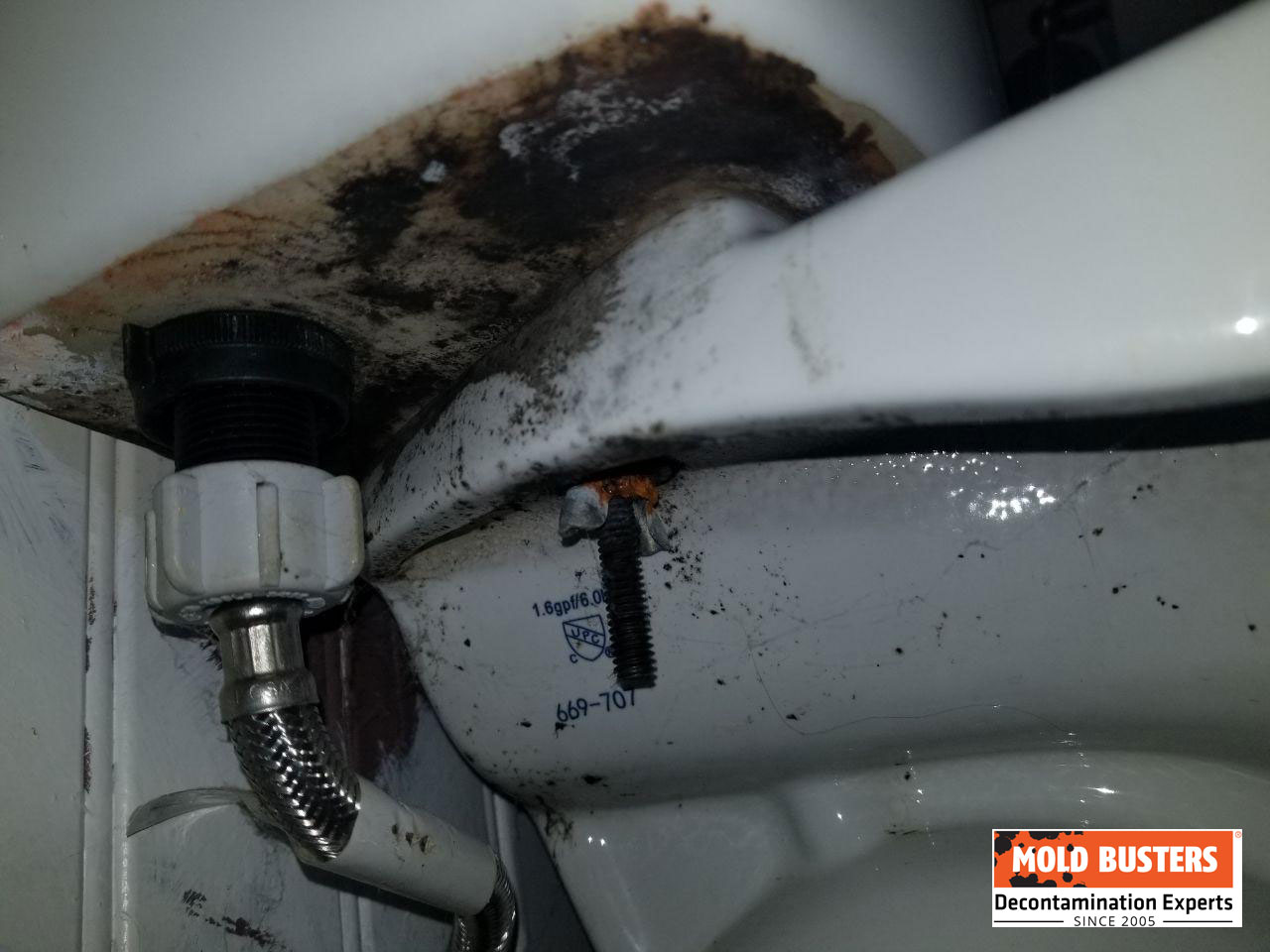 mold around toilet base