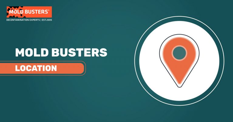 mold busters locations banner
