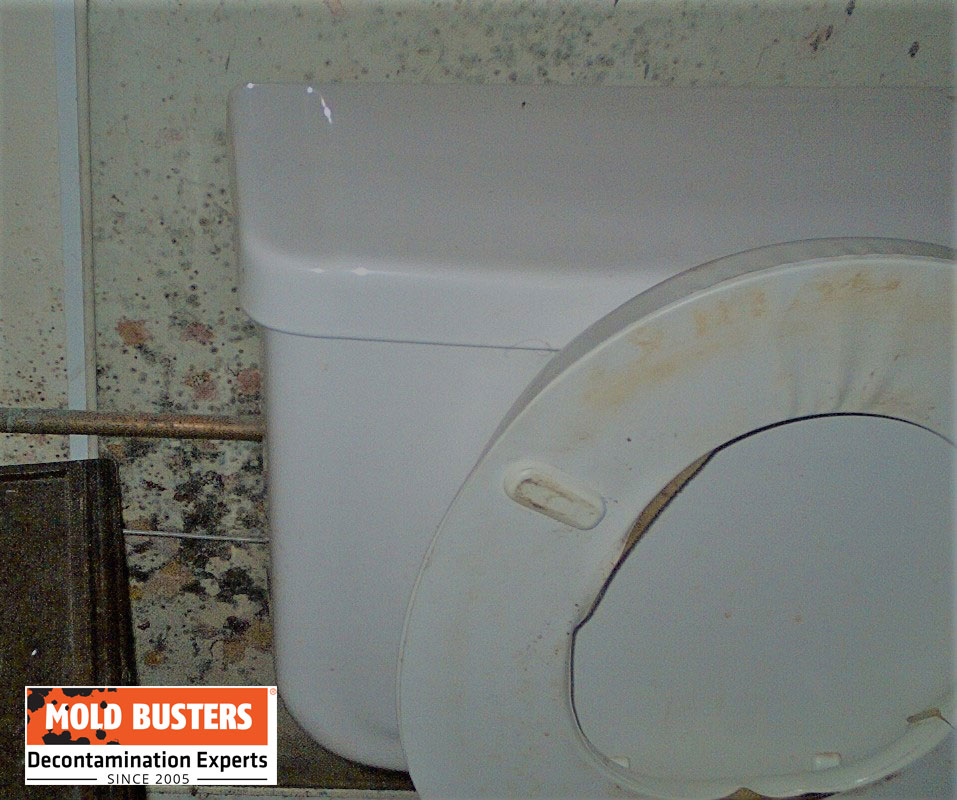 mold in resin toilet seat