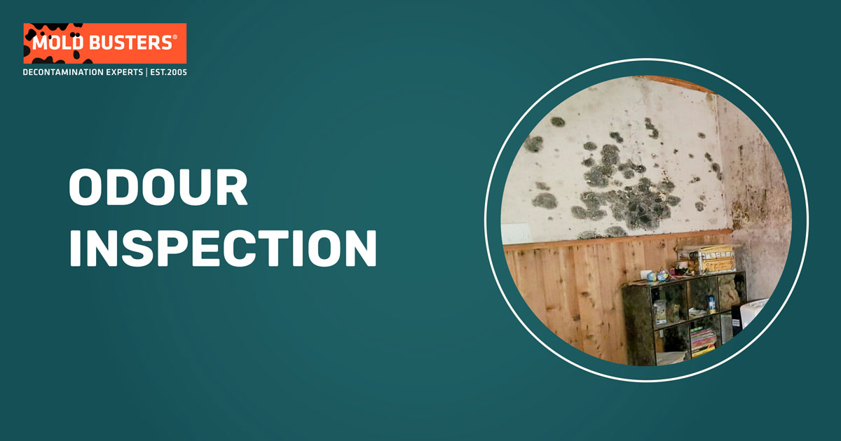 Odour Inspection Services - Mold Busters