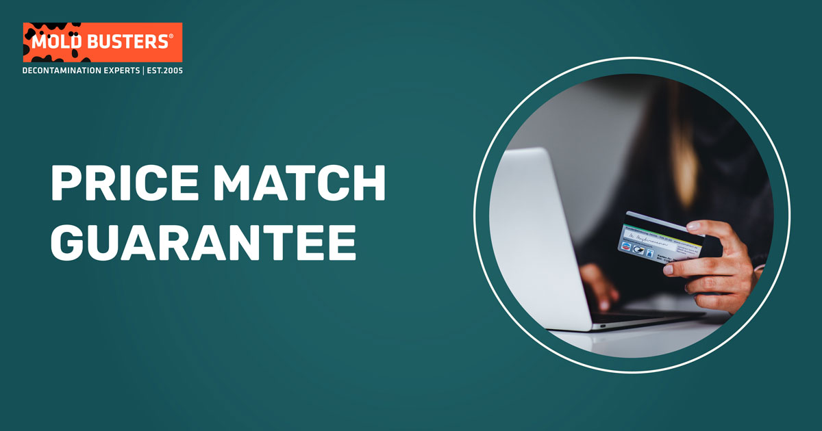 Mold Busters Price Match Guarantee Unbeatable Prices