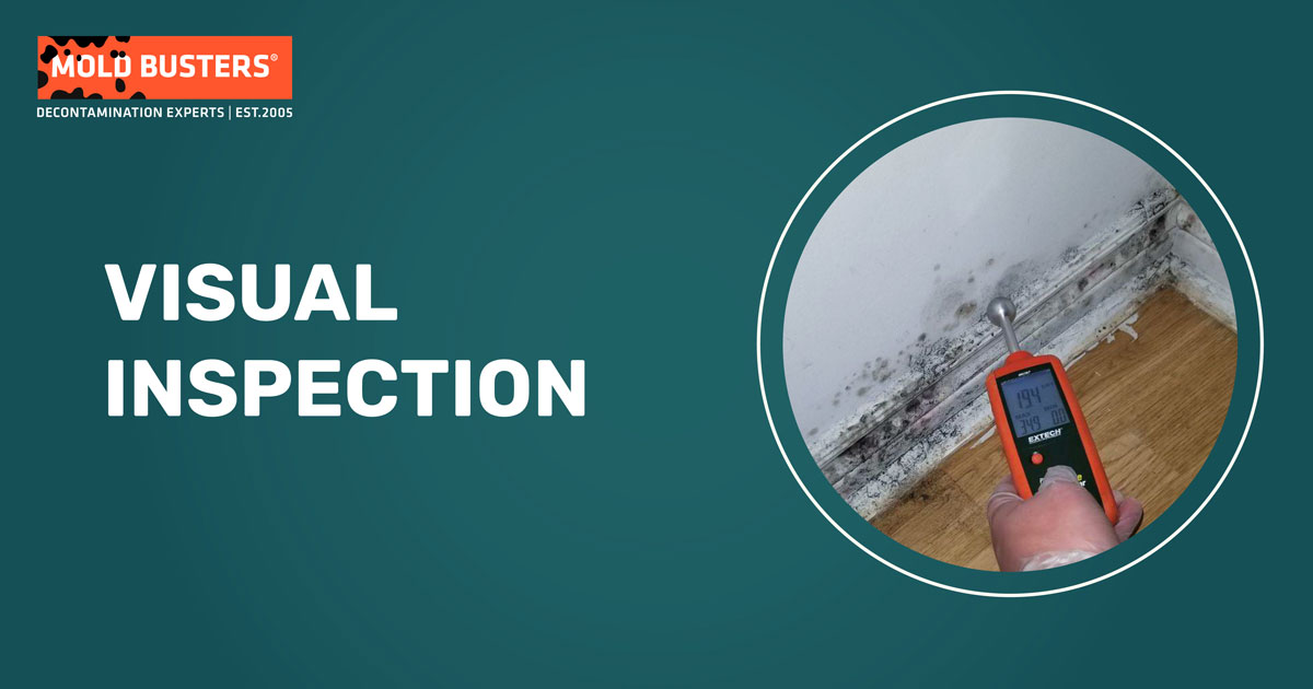 Professional Visual Inspection Services Scope of Work Assessment