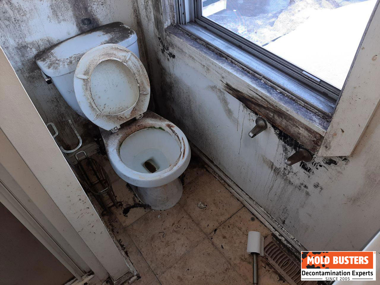 What To Do About Black Mold Around Your Toilet Base