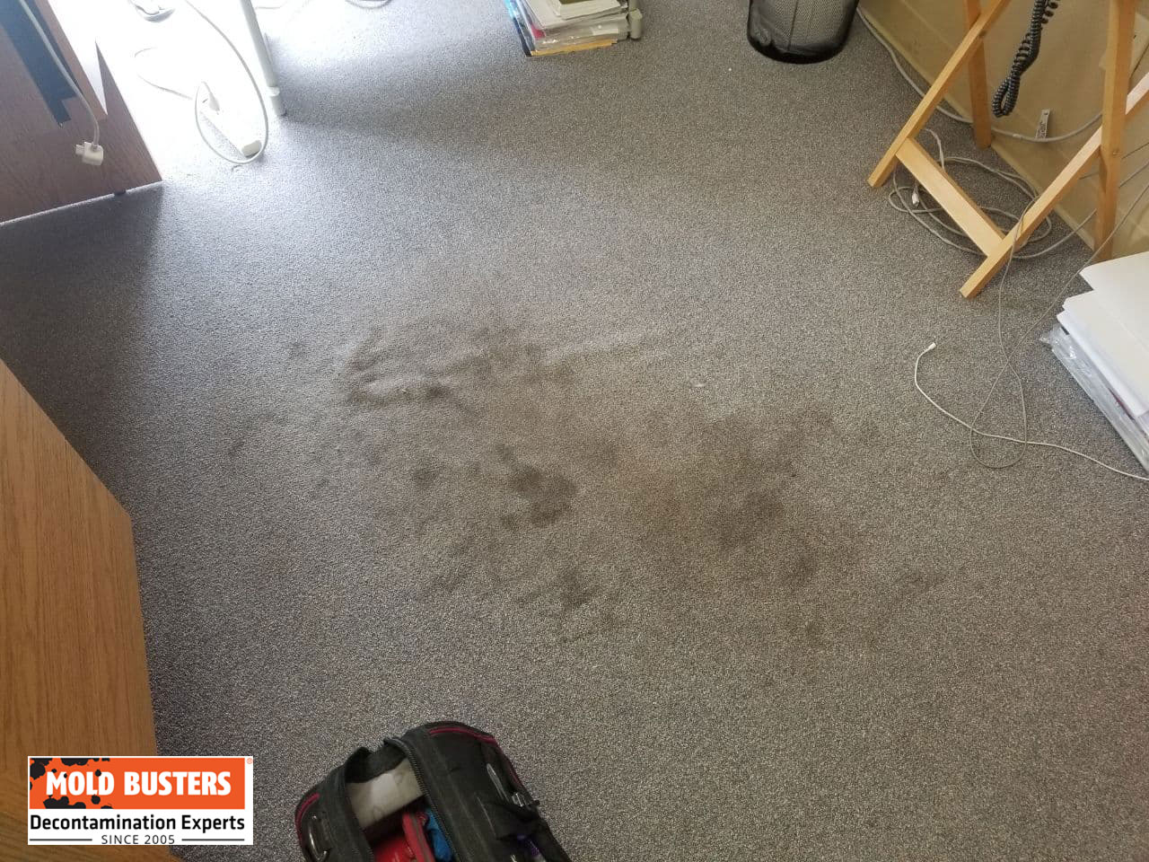 discolored areas on carpet in workplace