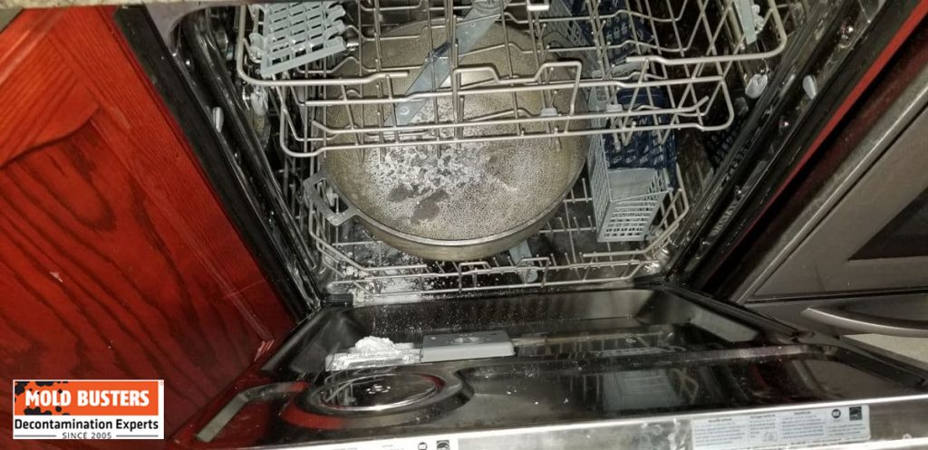Moldy Dishwasher Racks: Prevent Moisture Damage & Mold Growth