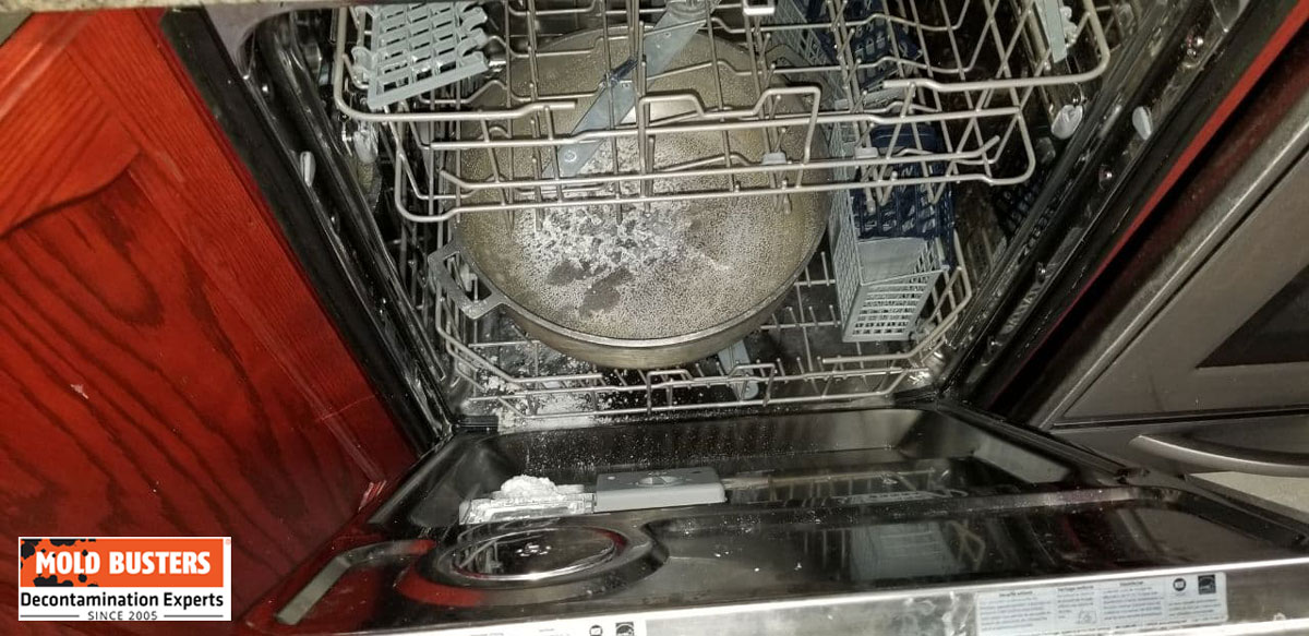 dishwasher rack mold