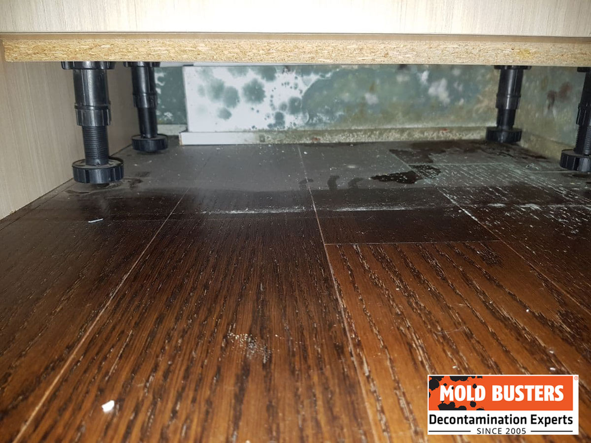 green mold in closet