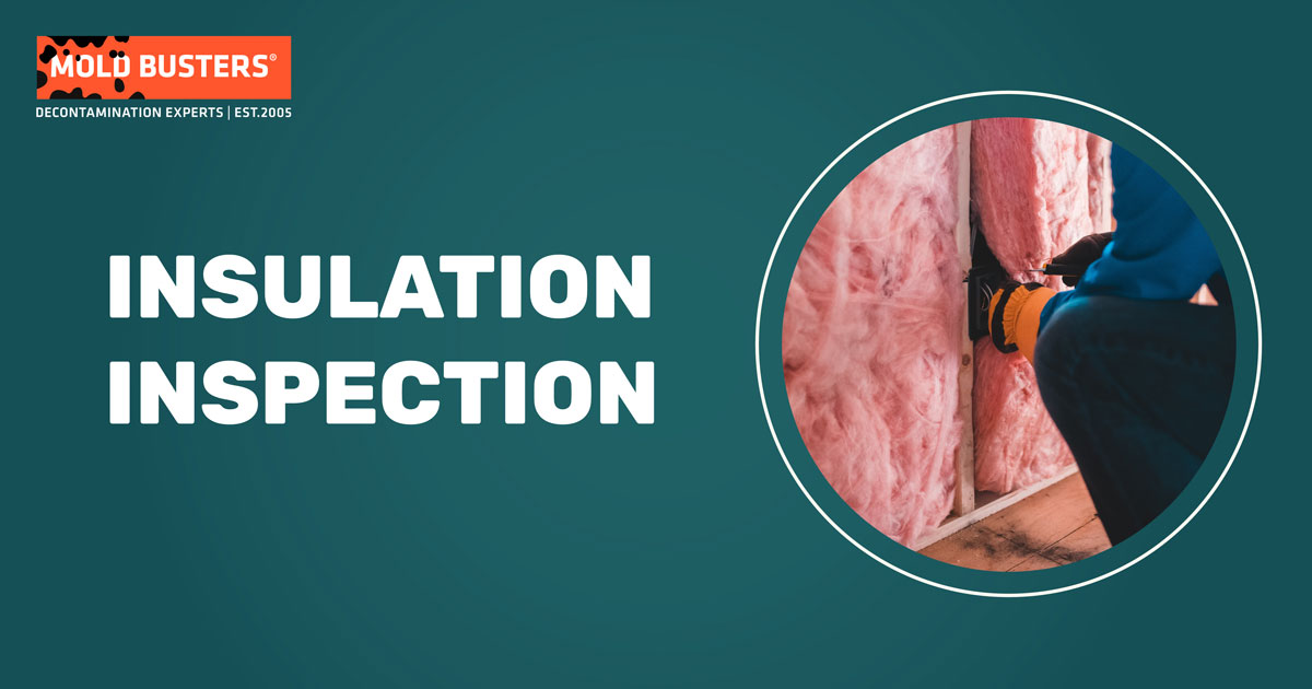 Insulation Inspection Services in Ottawa and Montreal Mold Busters