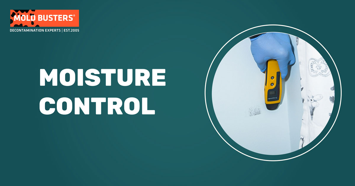 Moisture Control Services in Ottawa & Montreal Mold Busters