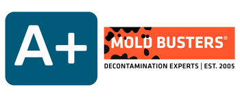 BBB gives Mold Busters A+ Rating