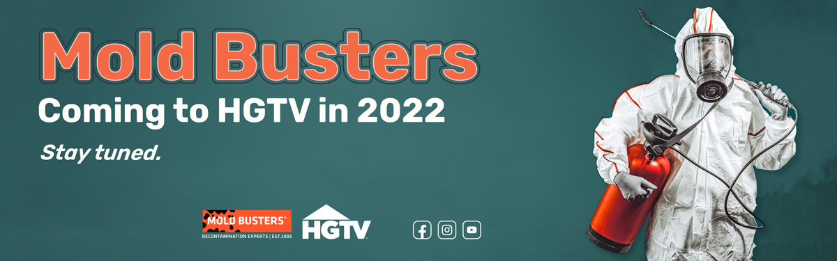 mold busters hgtv 2022