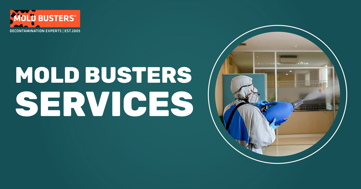 mold-busters-services-banner-img