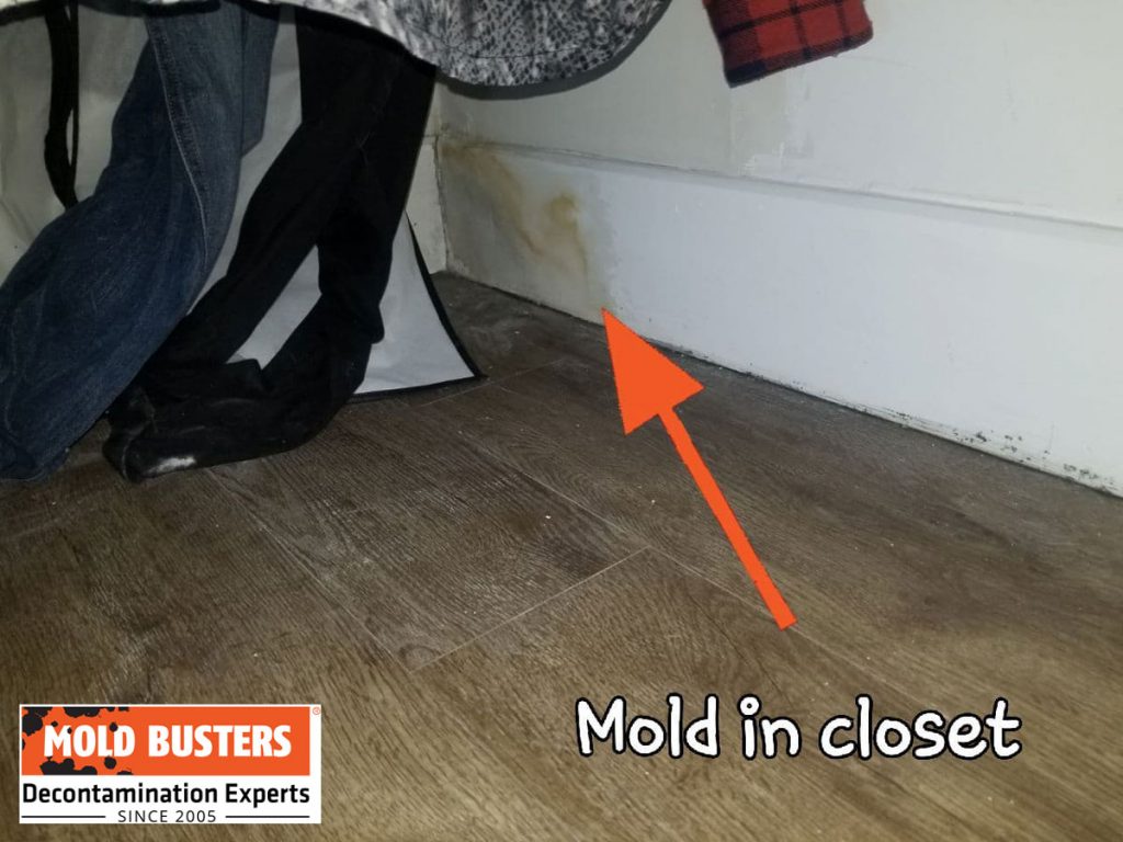 Mold in Closet How to Prevent and Get Rid of Mold in Closets