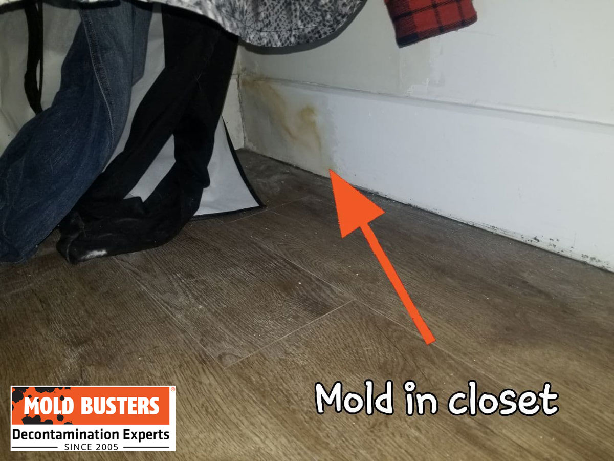 mold in closet
