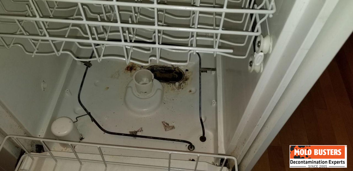 mold in dishwasher