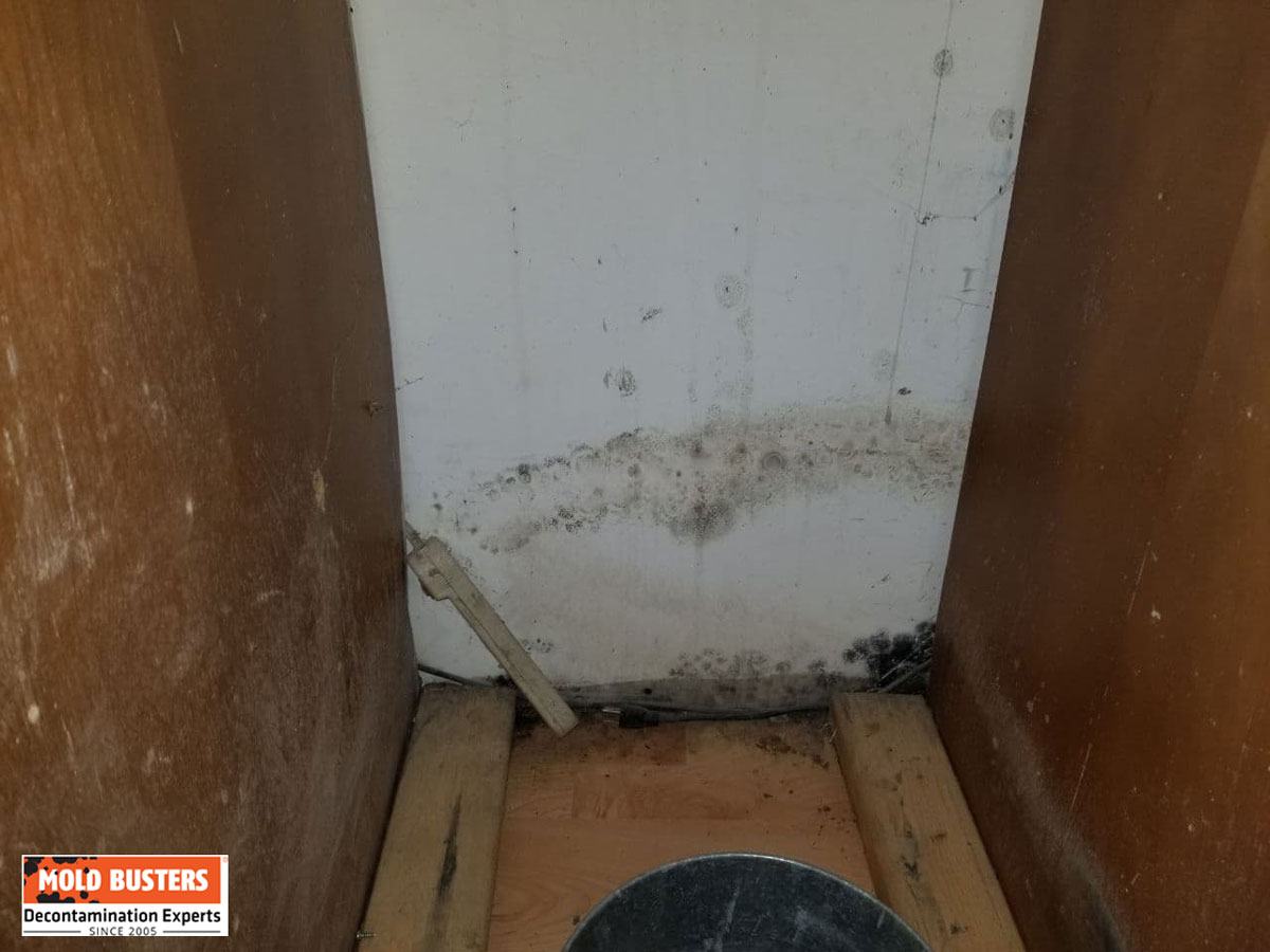 mold in kitchen behind dishwasher