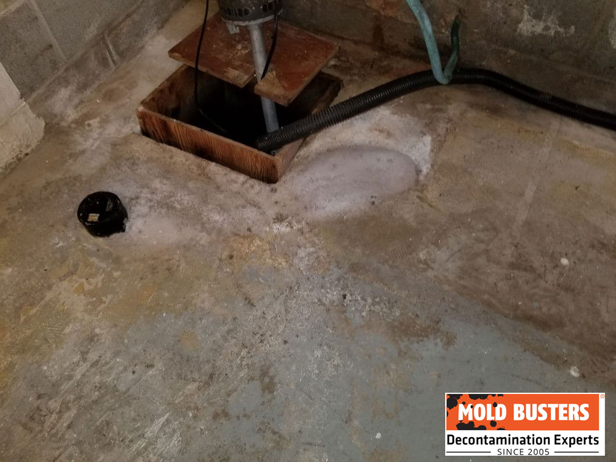 mold in sump pump closet