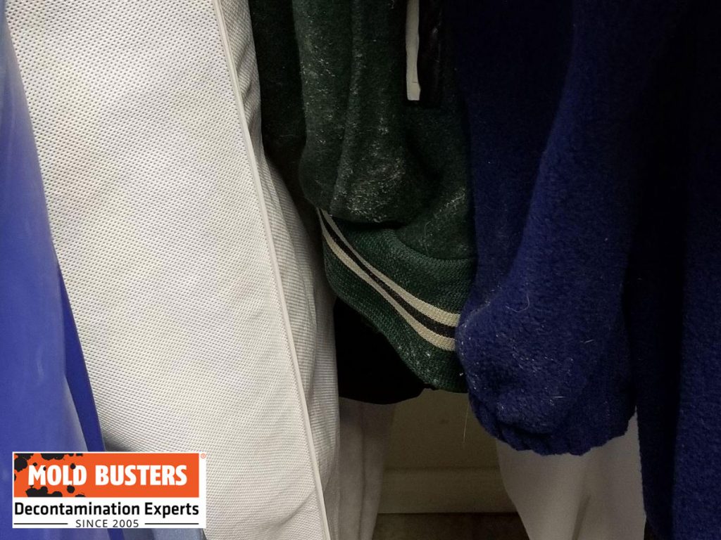 Mold in Closet How to Prevent and Get Rid of Mold in Closets